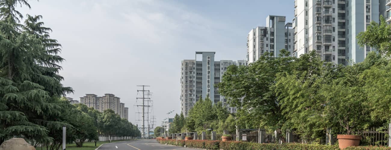 Noida Expressway